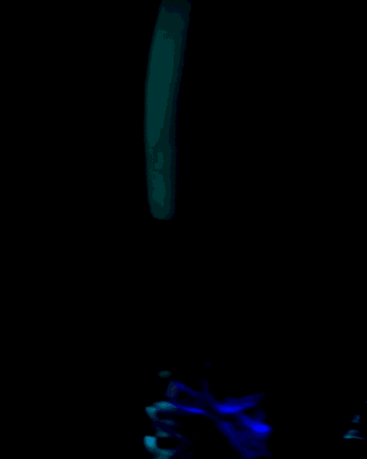 Impala Rollerskate - Twinkle